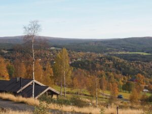 Bilde fra objektet