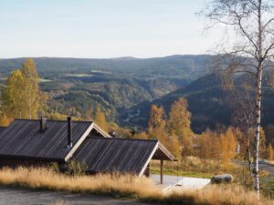 Mjuken hyttegrend
