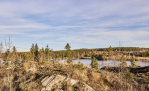 Store Le Hytteområde