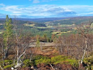 Hummelfjell