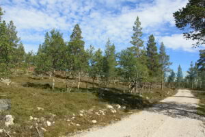 Fra veien opp mot Langmyregga 61 på venstre side